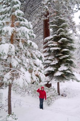 Lake Tahoe