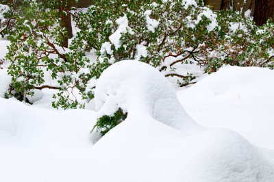 Lake Tahoe After Snow Storm