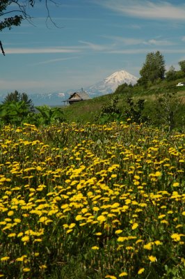 Lake-Clark-Vocano-Mt2.jpg