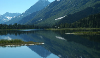 Homer Lake-reflection5.jpg