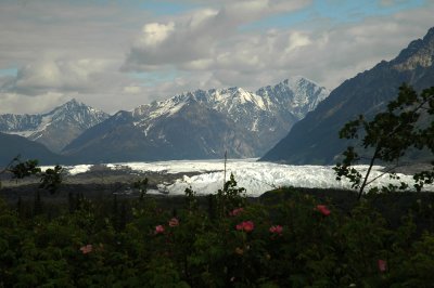 Alaskamatanuska Glacia.jpg