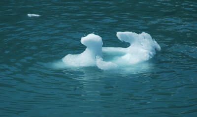 Seward Floating-Ice.jpg
