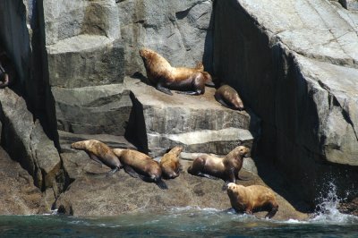 Seward Harbor-Island5.jpg