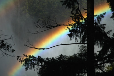rainbow.jpg