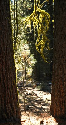 lasson_national_park
