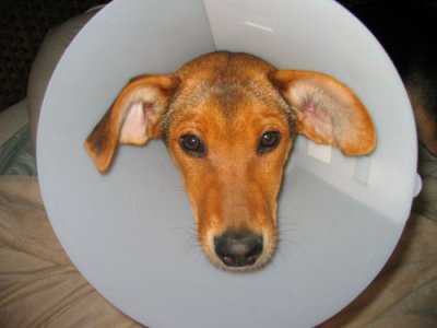 ok, now I feel bad!