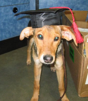 Lola Graduated Barka Cum Louda