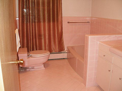 Low profile pink toilet