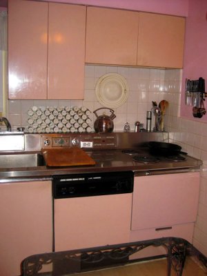 sink & cook wall - Oven & DW are pink too :)
