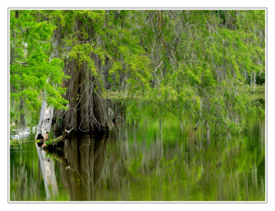 Three Mile Lake