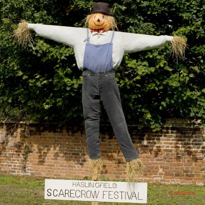 Scarecrow Festival 2008