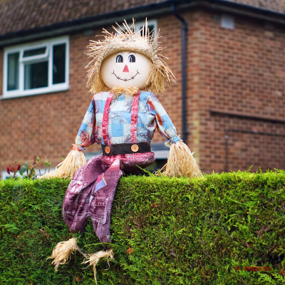 On the hedge