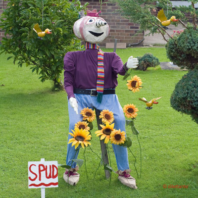 Spud