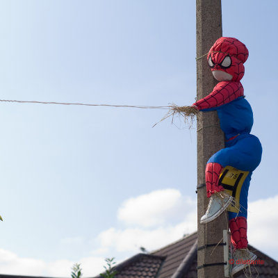 Spiderman