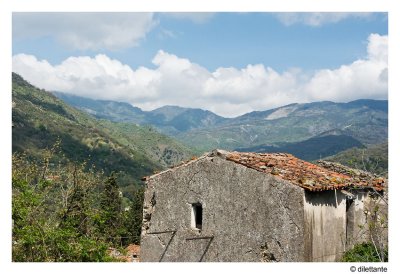 Rustic Landscape