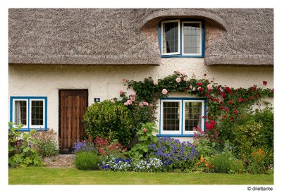 English cottage garden