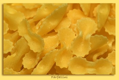 FarfallePhotobox.jpg
