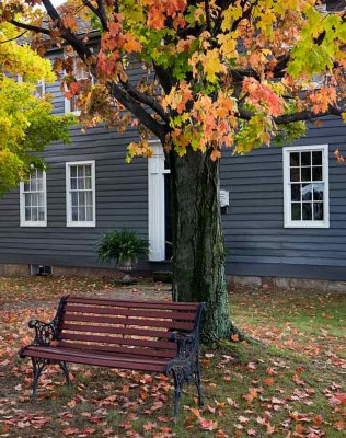 bench in fall