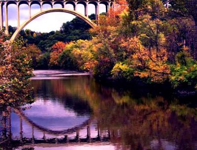 The Bridge