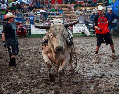 The Rodeo