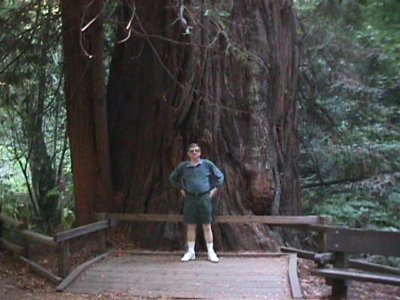 Rolf-Muir Woods Natl Monument-Sausalito, CA