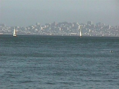 Alcatraz Island