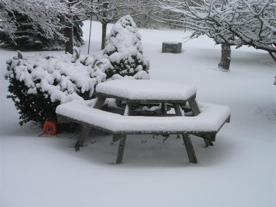 Picnic Table Snow Gauge