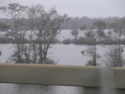 Atchafalaya Basin, series of bayous & swamps