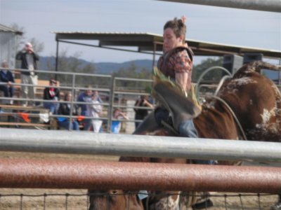 Bull Riding Rodeo-Junior Division