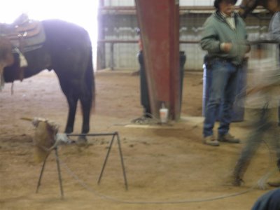 Young Boy  roping a practice calf