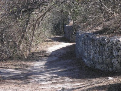 Path looking East