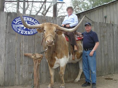 Even the longhorn steer is smiling pretty