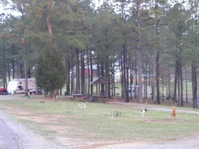 Little Creek Ranch-Campground