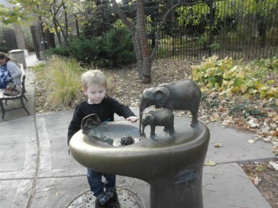 Lincoln Park Zoo-Zach