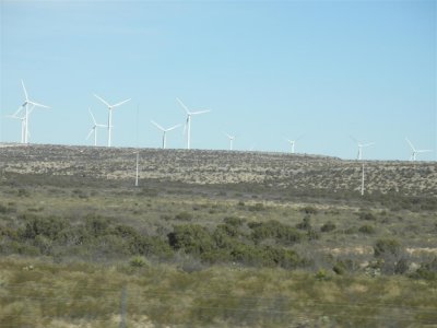 Windmill Farm in TX