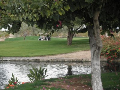 Golf area