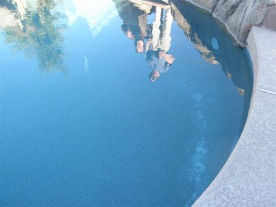 Rolf & Bernice's reflection in Pool