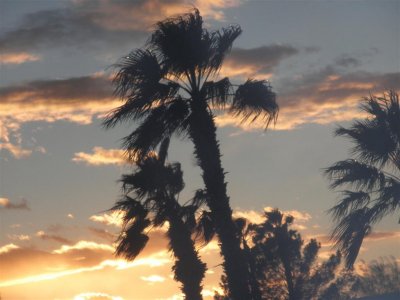 Sunset over Desert Shadows RV Resort