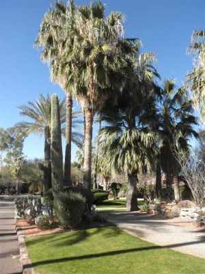Grounds of Tonto's