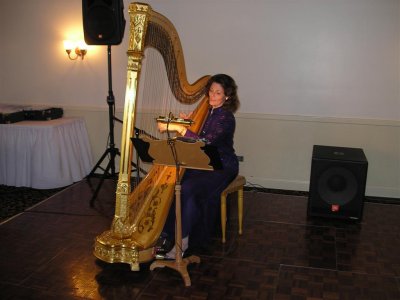 Penny Currier/Harpist