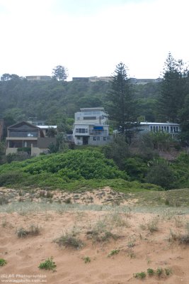IMG-5979.jpg