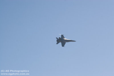 IMG_9897.jpg
