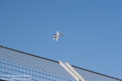 IMG_9902.jpg