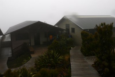 040.JPG