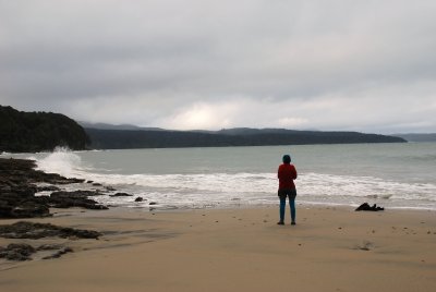 110.jpg