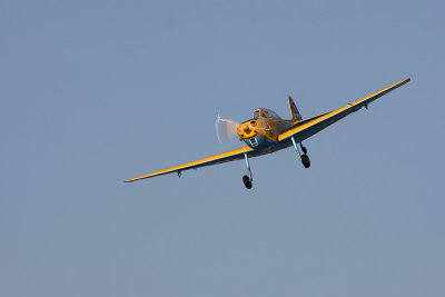 IMG_3230.jpg