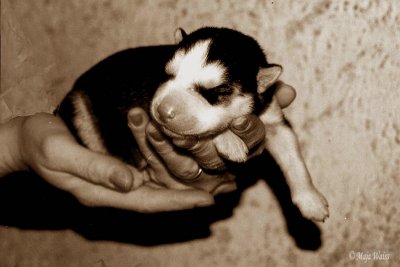 Peggy - Lively, something special - 31.12.1996 - 25.9.2008