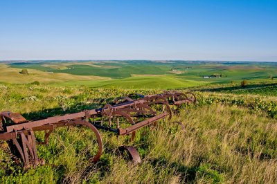 Palouse Perspective