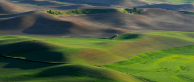 Shadows In The Palouse