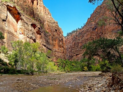 Zion's Virgin River